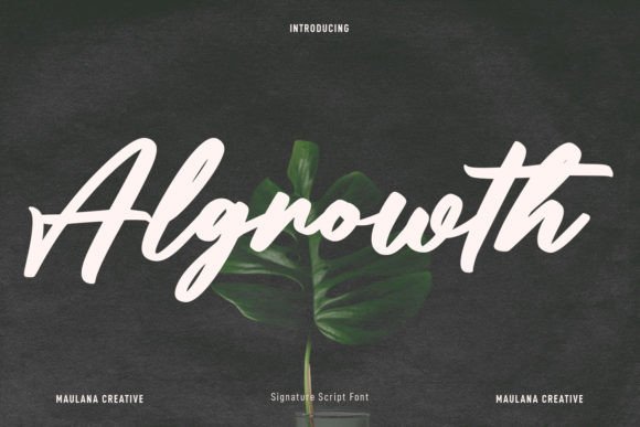 Algrowth Font for Creative Branding Projects
