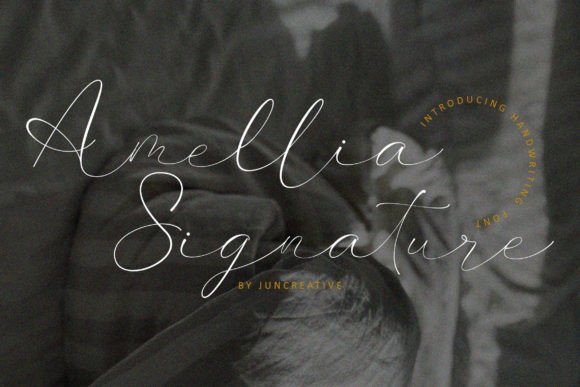Amellia Signature Font for Small Business Branding
