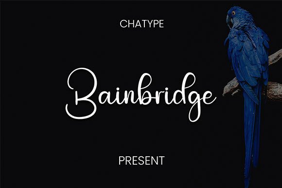 Bainbridge Font Review: The Perfect Script Handwritten Choice