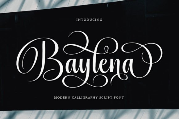 Baylena Font Review: A Stylish Script for Modern Branding