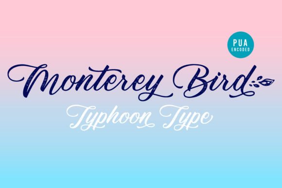 Monterey Bird Font: A Sweet Script for Stronger Branding
